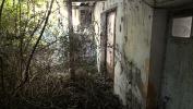 House MAULEON-LICHARRE 