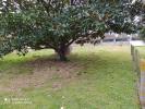 Annonce Vente Terrain Marennes