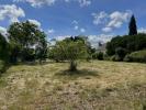 Land CHINON 
