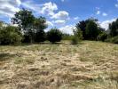 Land CHINON 