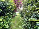 Annonce Vente Terrain Savonnieres