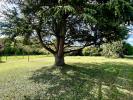 Land SAVONNIERES 