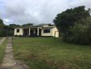 Annonce Location 4 pièces Maison Sainte-marie
