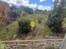 Annonce Vente 5 pices Maison Vailly-sur-sauldre