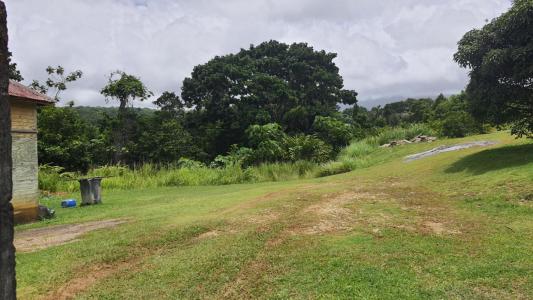 Vente Terrain PETIT-BOURG 97170