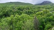 Acheter Appartement Eaux-bonnes Pyrenees atlantiques