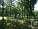 Land SAINT-VIVIEN-DE-MEDOC 