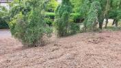 Acheter Terrain Puycasquier 24000 euros