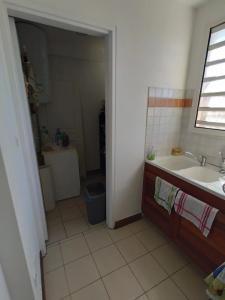 Vente Appartement BRAS-PANON 