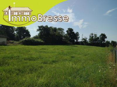 Vente Terrain SAINT-TRIVIER-DE-COURTES 01560