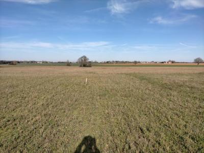 photo For sale Land SAINT-JUST-LUZAC 17