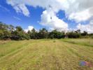 Annonce Vente 3 pices Maison Loye-sur-arnon