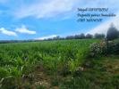 Land LOGES-MARCHIS 