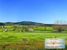 Annonce Vente 5 pièces Maison Bergesserin