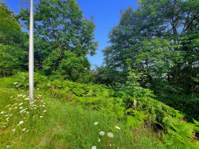 photo For sale Land FELLERING 68