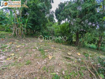 photo For sale Land LAMENTIN 972