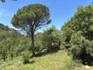 For sale Land Lorgues  83510 11525 m2