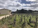 Annonce Vente Terrain Queyrac