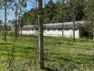 Acheter Appartement 392 m2 Sainte-christie-d'armagnac
