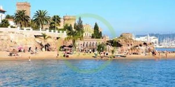Vente Commerce MANDELIEU-LA-NAPOULE 06210