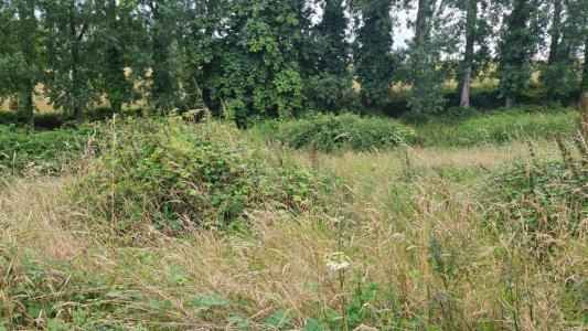 For sale Land SAINT-JEAN-DU-DOIGT  29