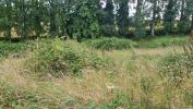 For sale Land Saint-jean-du-doigt 29630 1948 m2