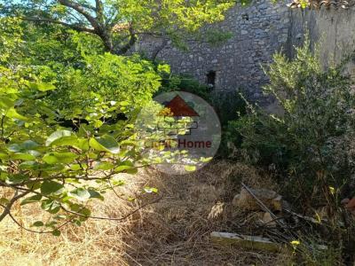 photo For sale House PALME 11