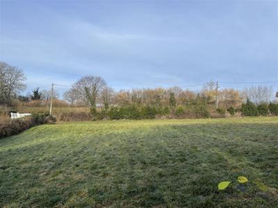 Vente Terrain MASLEON 87130