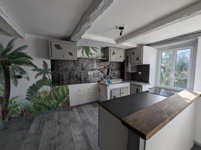photo For sale House ISLE-SUR-LE-DOUBS 25