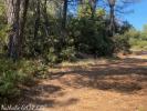 For sale Land Salernes  83690