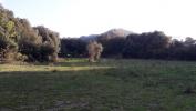 For sale Land Corte  20250 4360 m2
