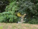 For sale Land Lunery  18400