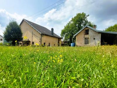 photo For sale House THILLOT 88