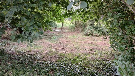 Vente Maison 5 pièces EHUNS 70300