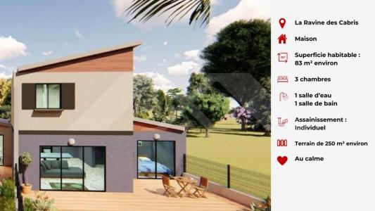 photo For sale House SAINT-PIERRE 974
