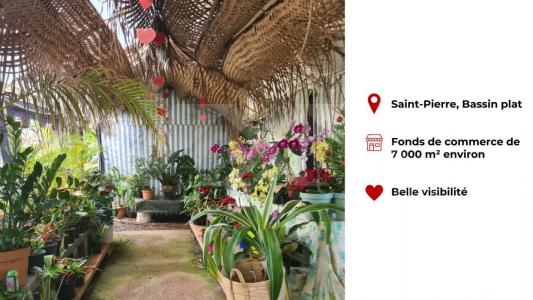 Vente Domaine agricole SAINT-PIERRE 97410