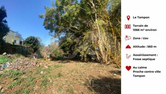 photo For sale Land TAMPON 974