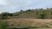 Annonce Vente Terrain Chapelle-de-surieu