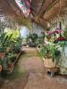 Annonce Vente Domaine agricole Saint-pierre