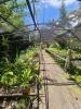 Acheter Domaine agricole 7000 m2 Saint-pierre