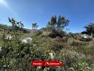 Annonce Vente Terrain Plaine-des-cafres