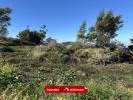 Acheter Terrain 459 m2 Plaine-des-cafres