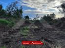Annonce Vente Terrain Plaine-des-cafres