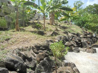 Location Maison 5 pièces SCHOELCHER 97233