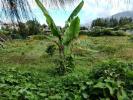 Land CILAOS 