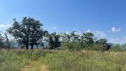 Land CHANAS 