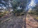 Annonce Vente Terrain Puget-sur-argens