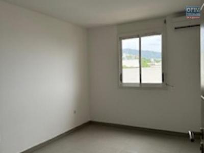 Vente Appartement SAINTE-CLOTILDE 