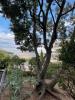 Apartment AGDE 