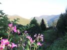 Acheter Maison Bussang 163000 euros